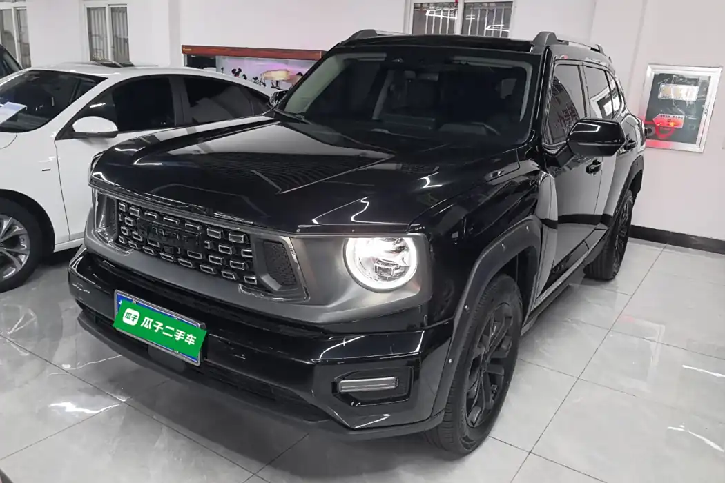Havoc II Big Dog 2023 1.5T 2WD Tide Wild Plus