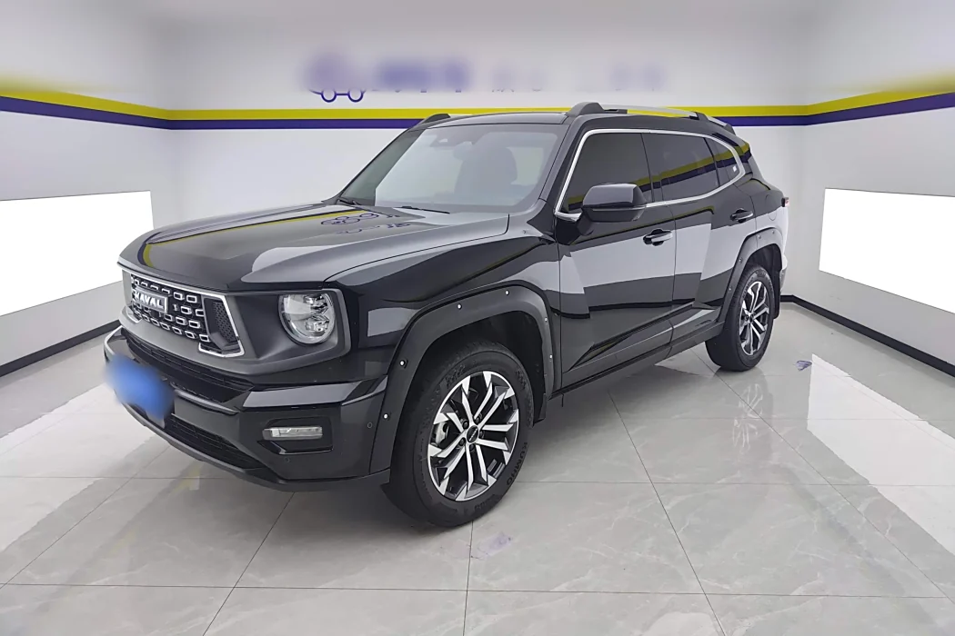 Havoc II Big Dog 2023 2.0T 2WD Tide Wild Plus