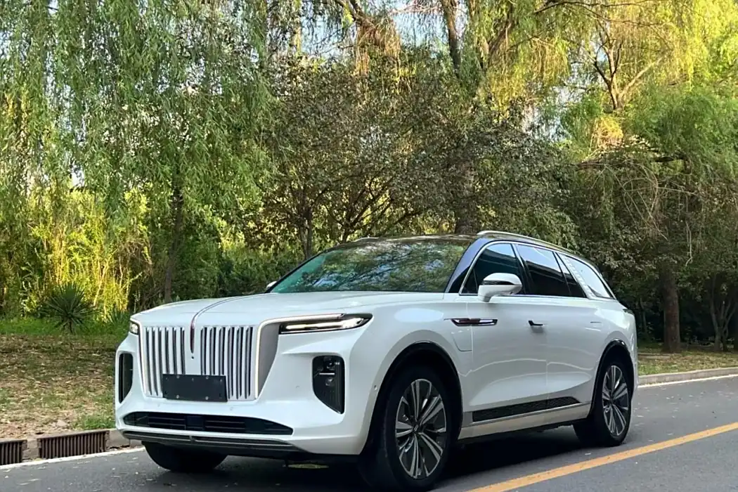 Hongqi E-HS9 2021 510km Qichang version six-seater