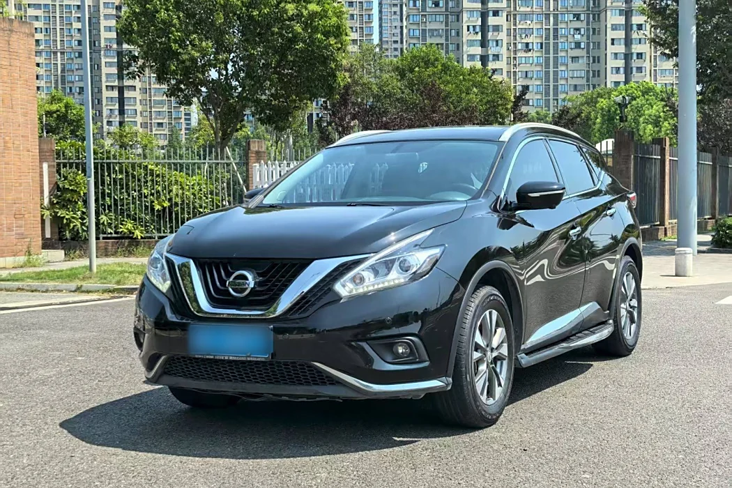 Nissan Loulan 2019 2.5L XL two-wheel drive Zhilian Deluxe Edition Country VI