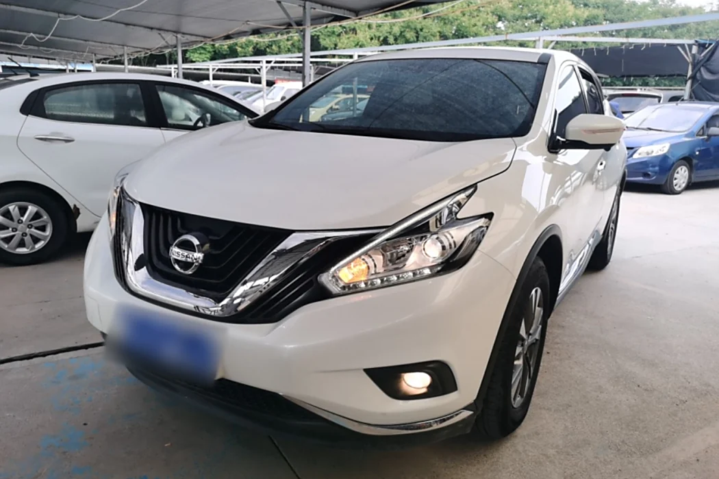 Nissan Loulan 2021 2.5L XE two-wheel drive Elite Edition