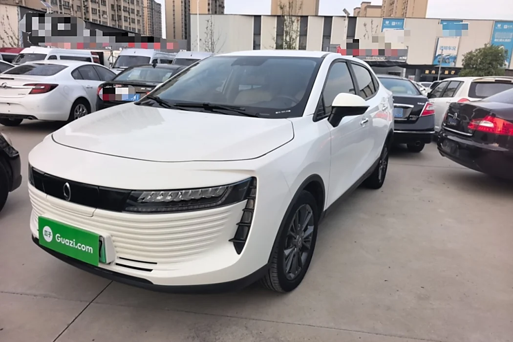 Euler iQ 2019 Smart Zun Type