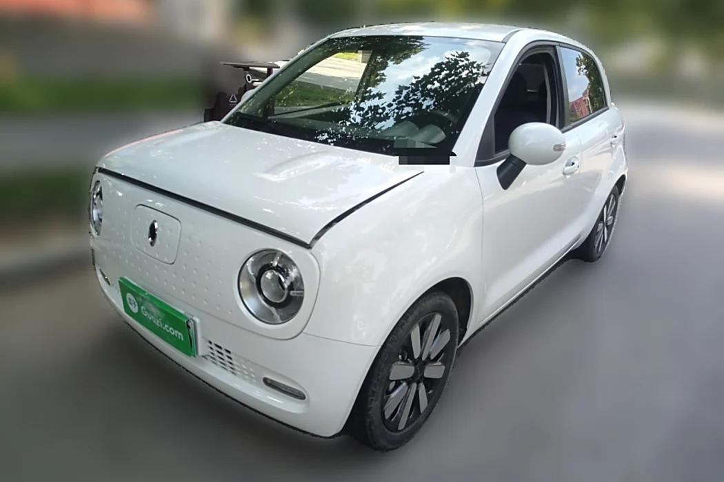 Euler Black Cat 2021 351km Standard