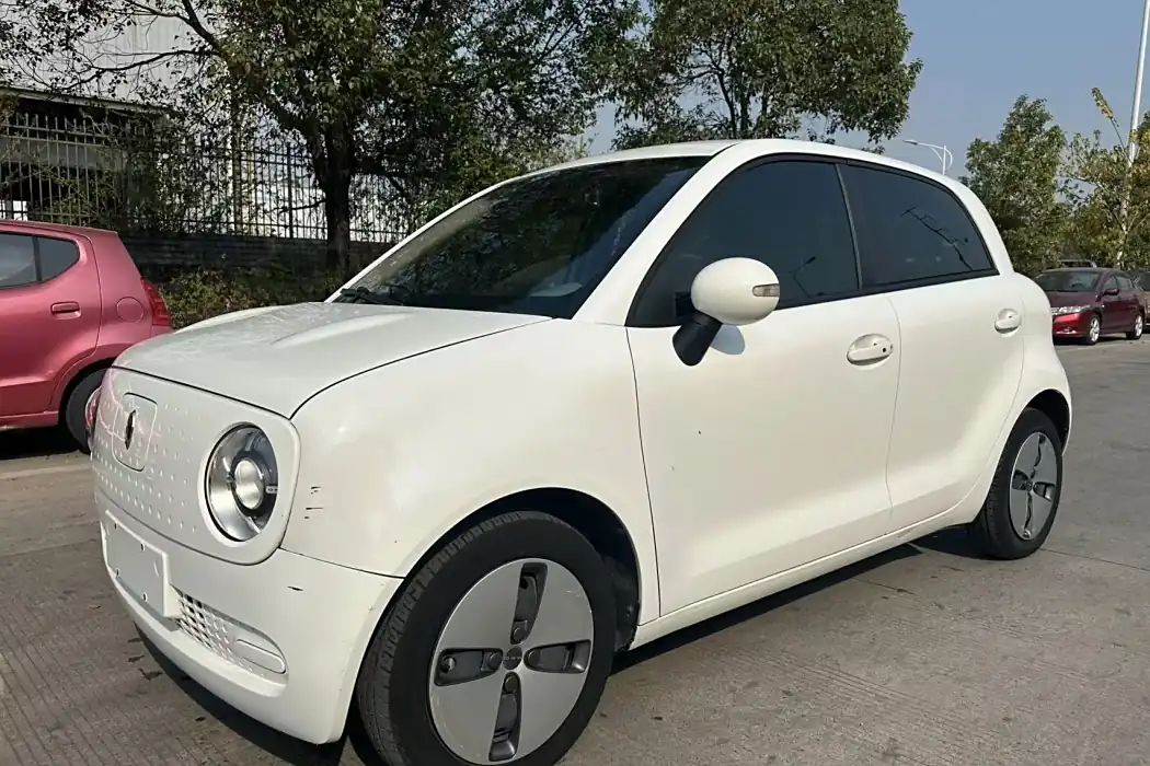 Euler Black Cat 2021 Model 301km Basic Type