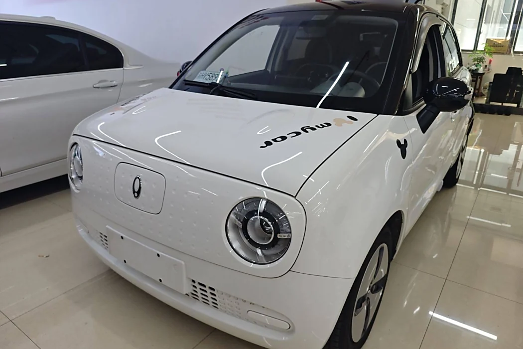 Euler Black Cat 2022 Model facelift 301km Cute Pet Version Lithium Iron Phosphate