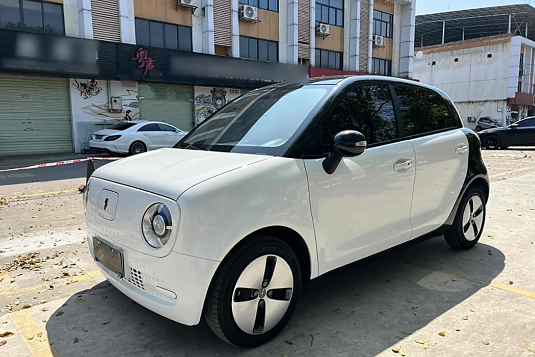 Euler Black Cat 2021 Model 301km Basic Type