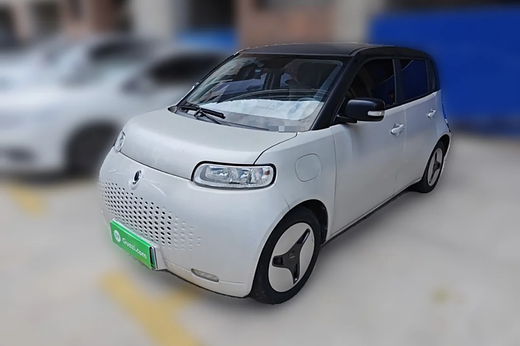 Euler White Cat 2020 360km Luxury Type