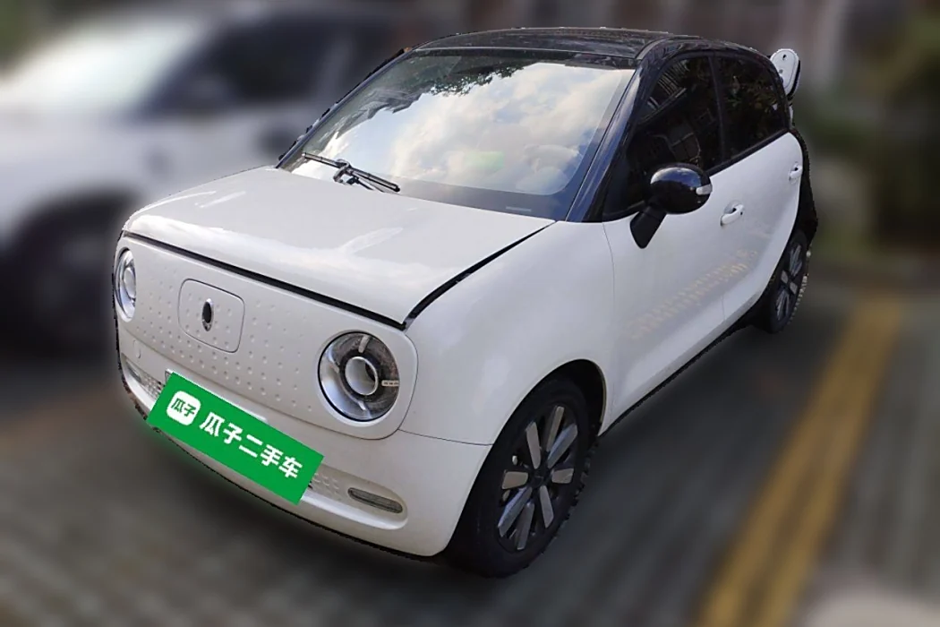 Euler Black Cat 2021 351km Standard