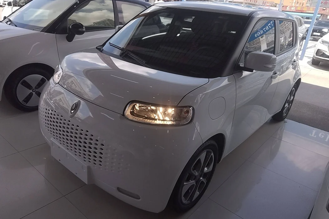 Euler White Cat 2020 Model 305km Luxury Type