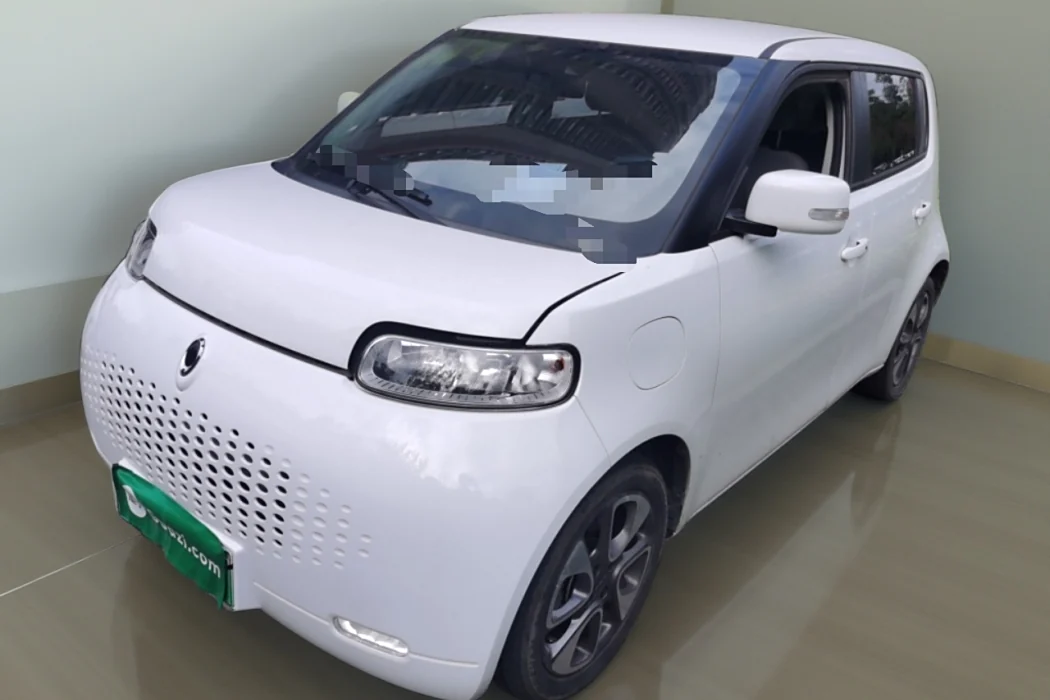 Euler White Cat 2020 Model 305km Luxury Type