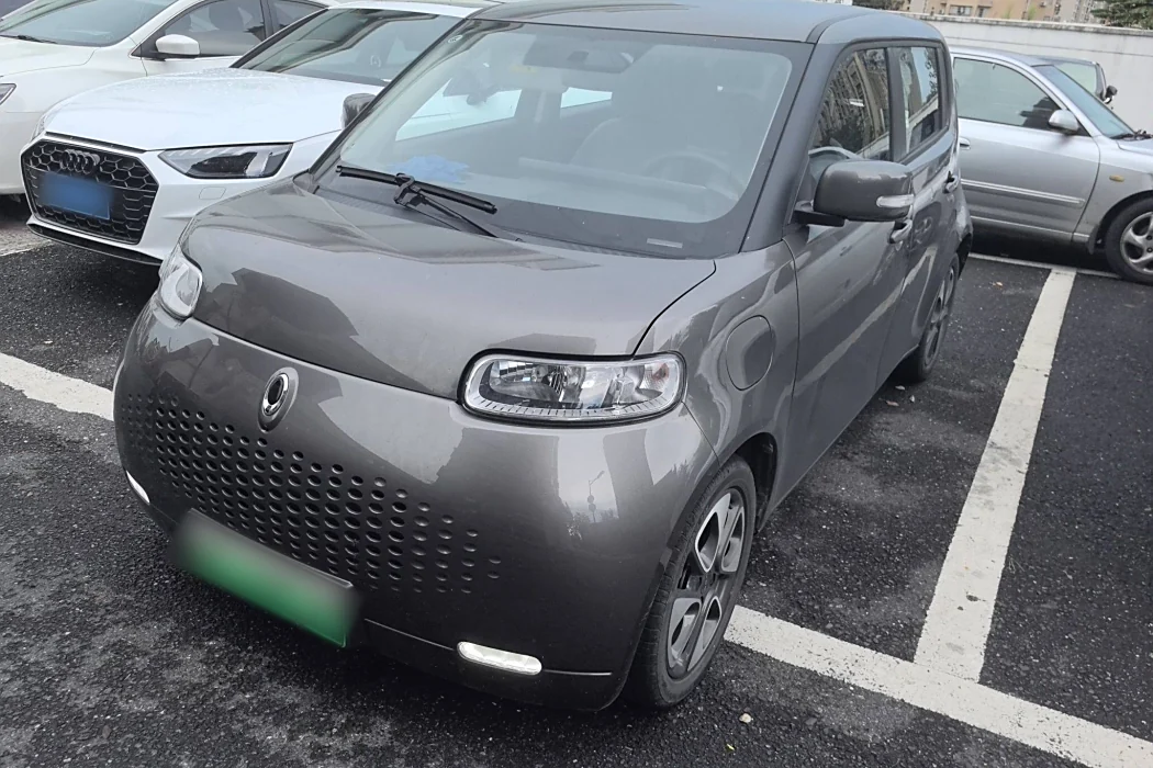 Euler White Cat 2020 Model 305km Luxury Type