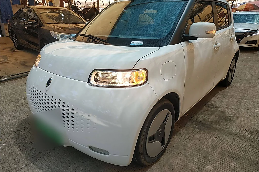 Euler White Cat 2020 360km Luxury Type