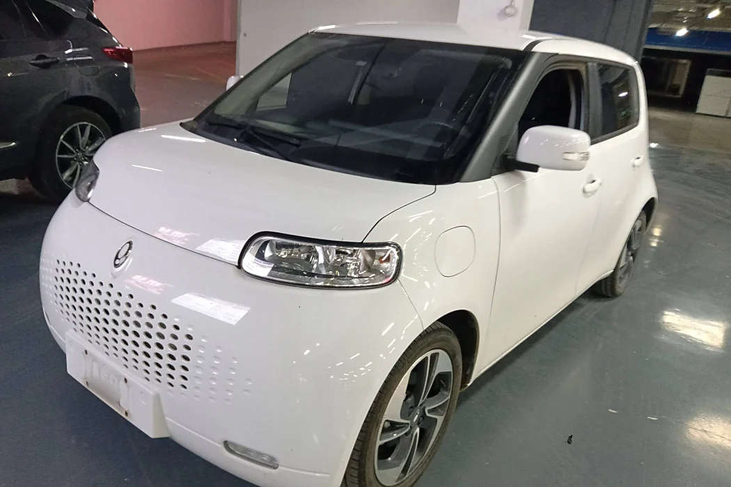 Euler White Cat 2022 upgraded version of 305km luxury ternary lithium