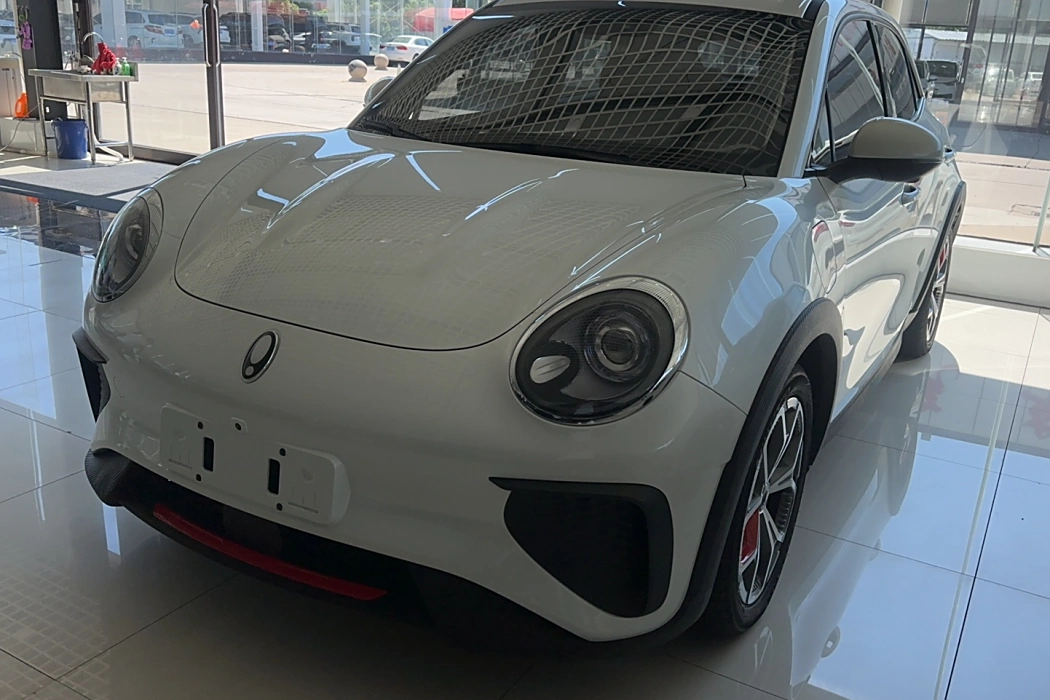 Euler Good Cat GT 2023 Mulan Version 401km Luxury