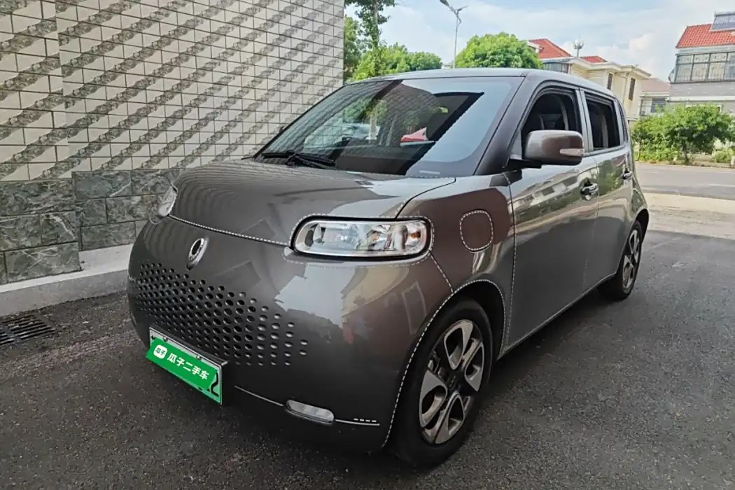 Euler White Cat 2022 upgraded version of 305km luxury ternary lithium