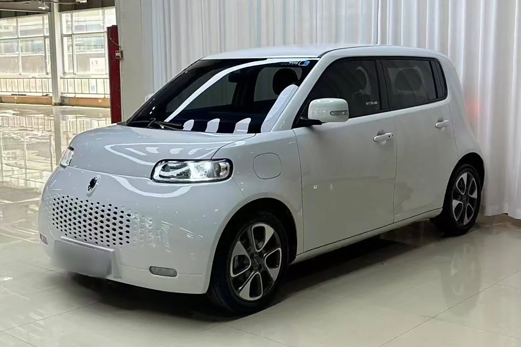 Euler White Cat 2020 Model 305km Luxury Type