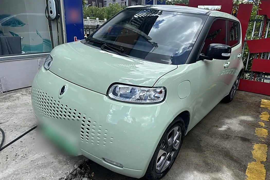 Euler White Cat 2020 Model 305km Luxury Type