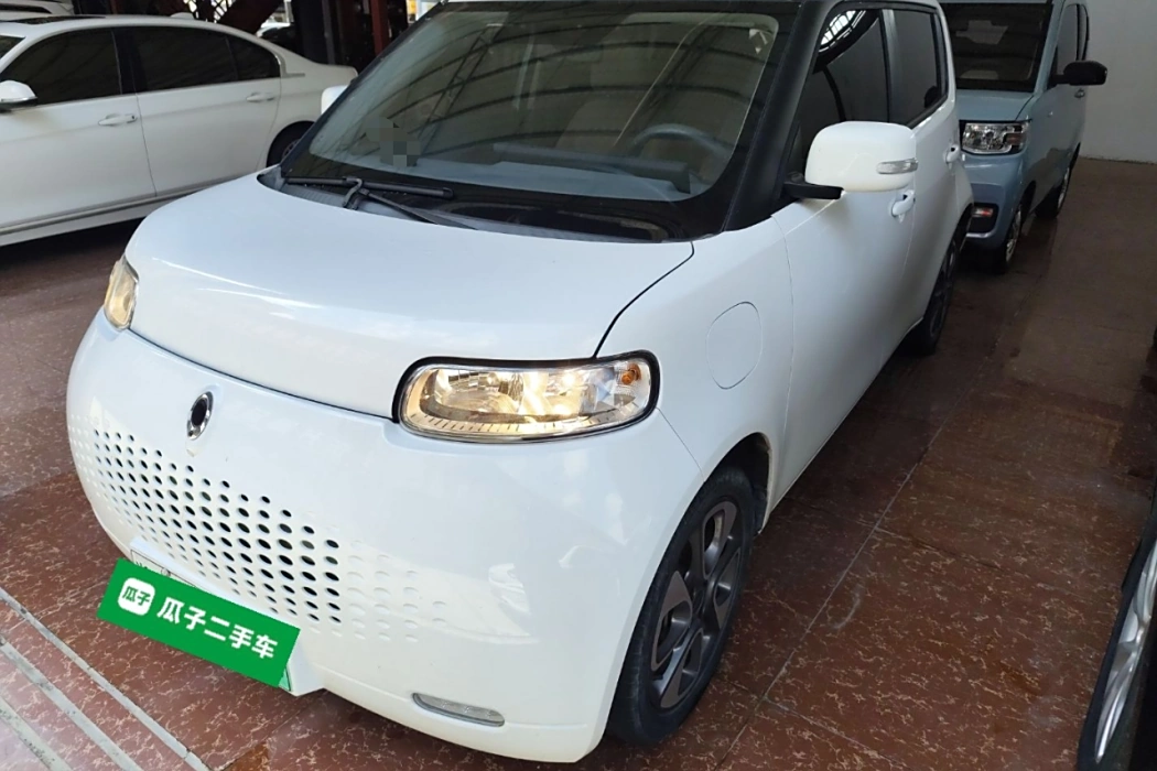 Euler White Cat 2020 Model 305km Luxury Type