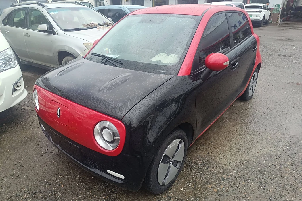 Euler Black Cat 2022 301km Base Lithium III