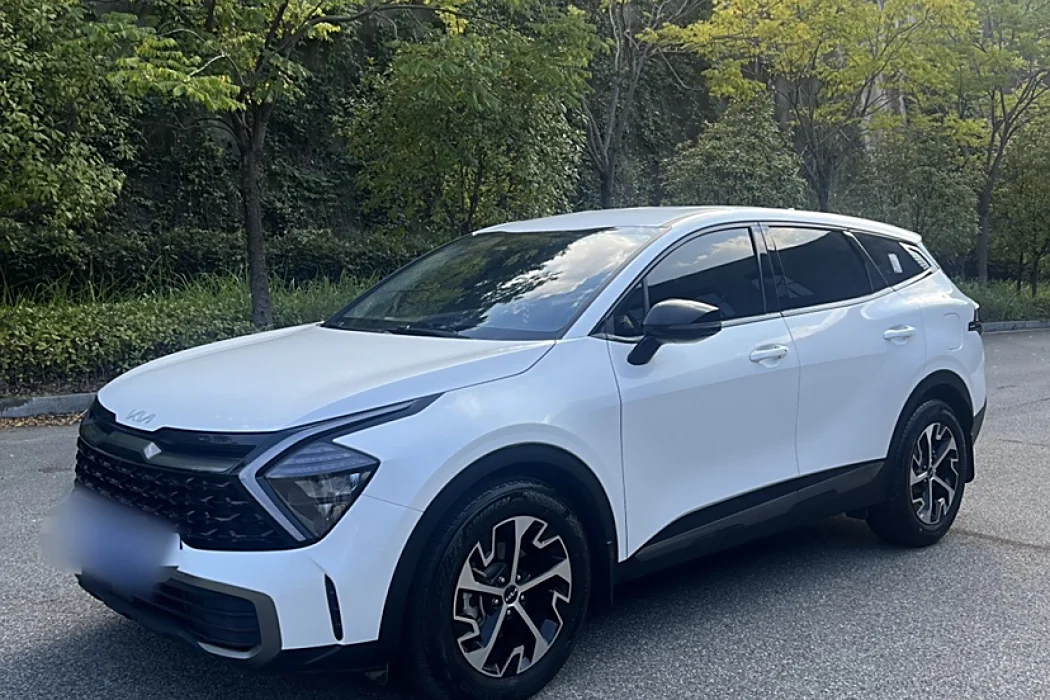 KIA Lion Platinum Extension 2023 1.5T Two-wheel Drive Deluxe Edition