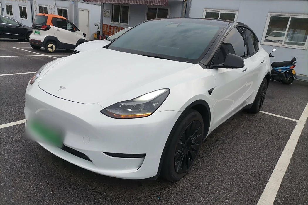 Tesla Model Y 2021 Long Range All-Wheel Drive 3D7