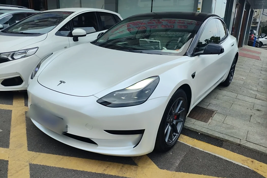 Tesla Model 3 2021 Standard Range Rear Drive Upgrade 3D6