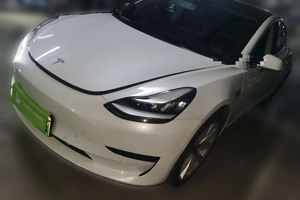 Tesla Model 3 2019 Standard Range Rear Drive Upgrade