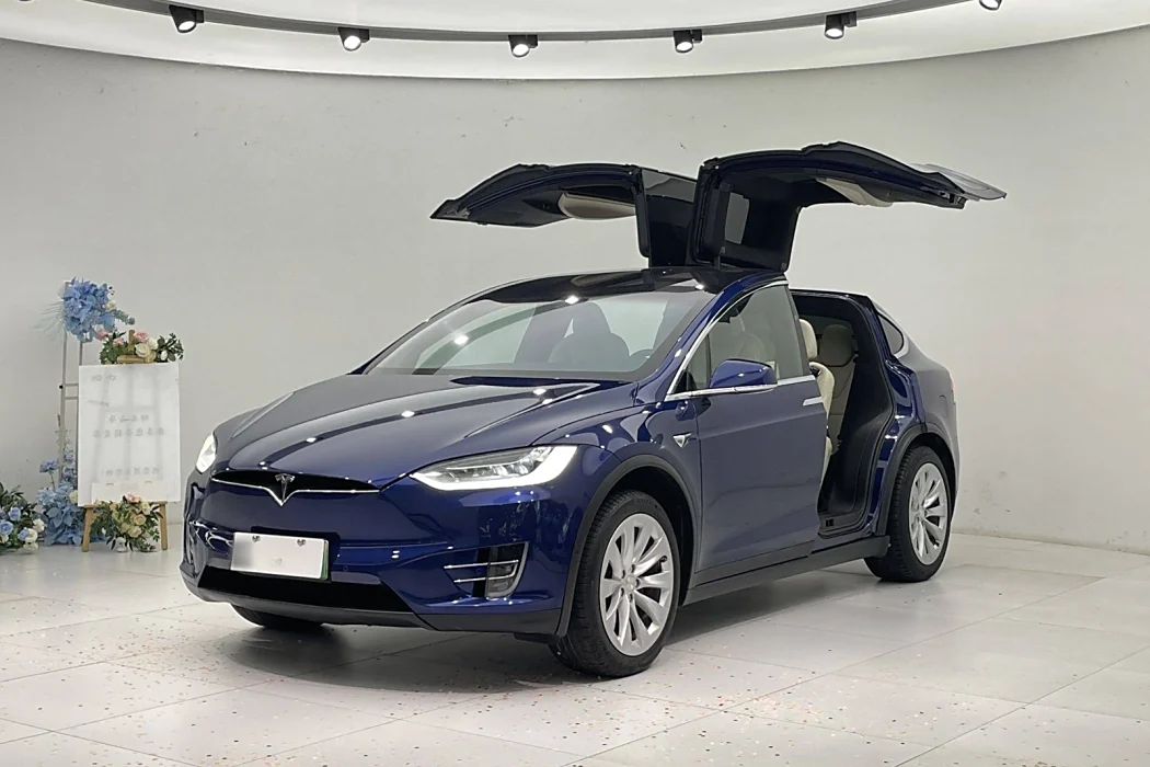 Tesla Model X 2019 Long Battery Life Version