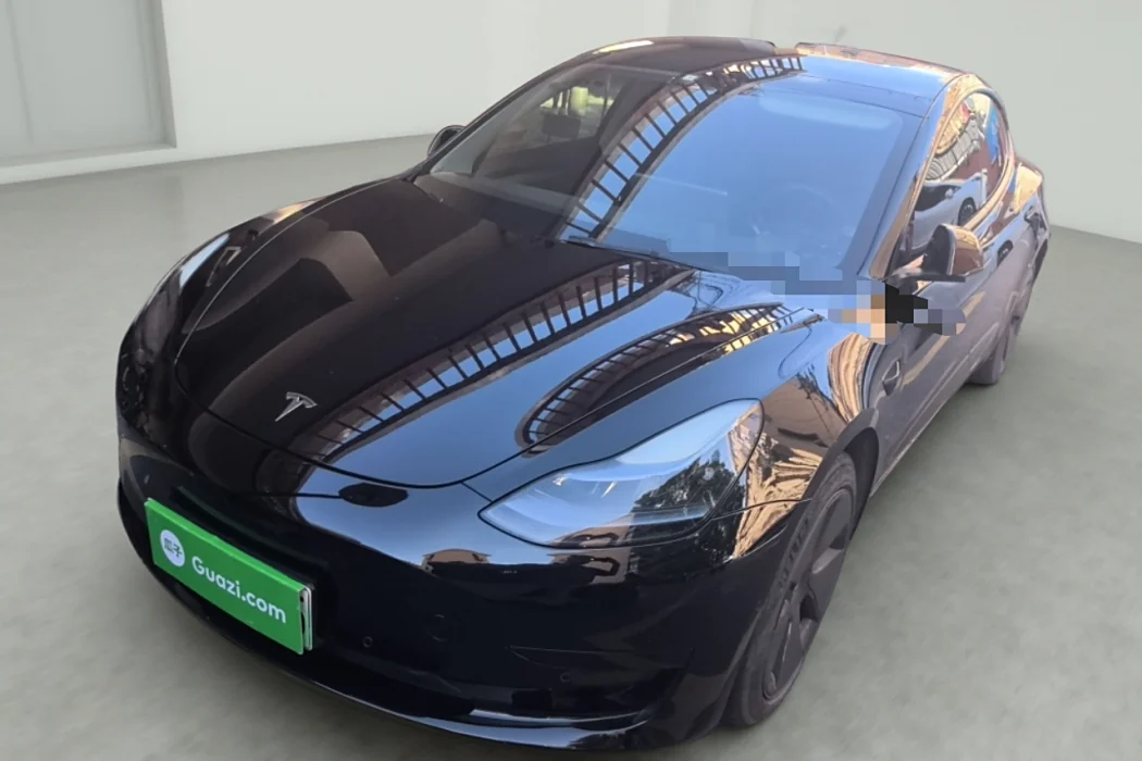 Tesla Model 3 2021 Modified Standard Range Rear Drive Upgrade 3D1