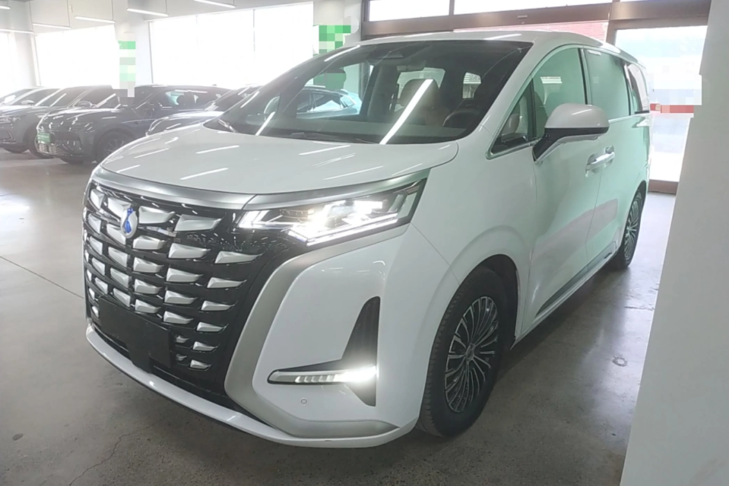 Denza D9 2022 DM-i 1040 Premium Type
