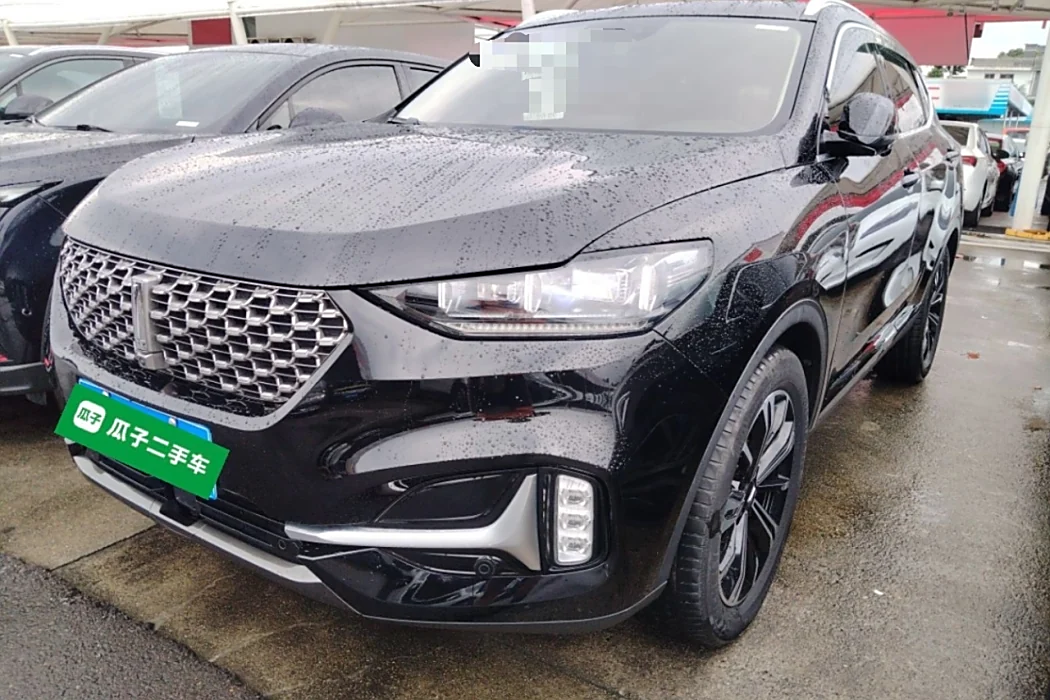 Wei brand VV6 2021 2.0T two-wheel drive smart enjoy+