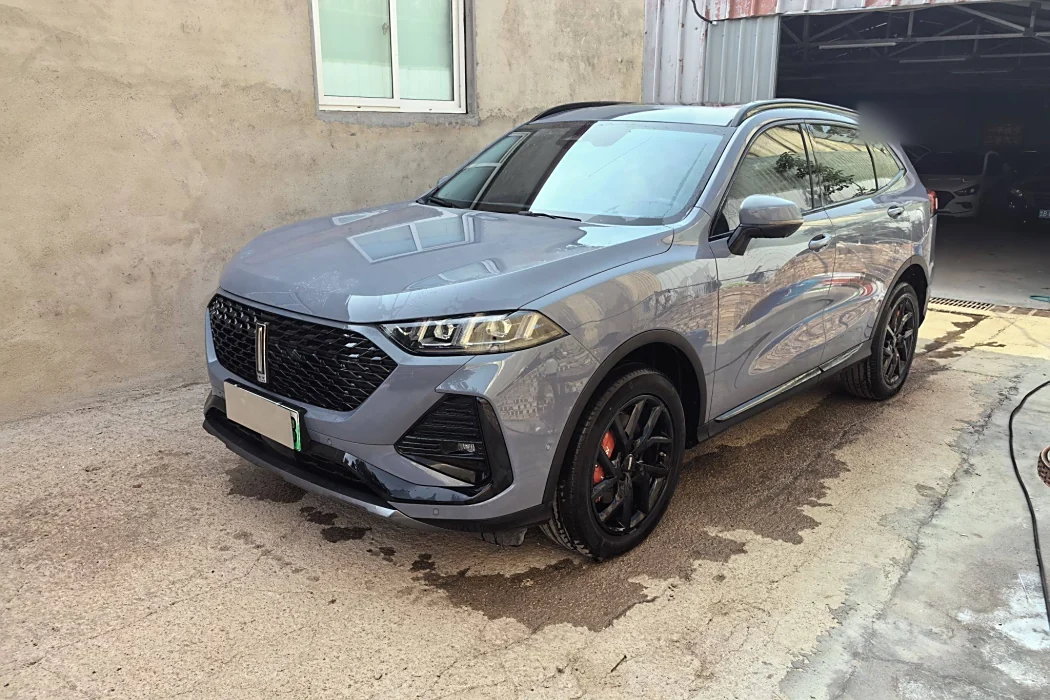 Wei brand latte DHT-PHEV 2022 1.5T two-wheel drive oversized cup