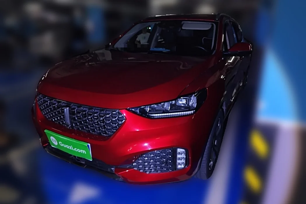 Wei brand VV6 2020 2.0T two-wheel drive smart enjoy+