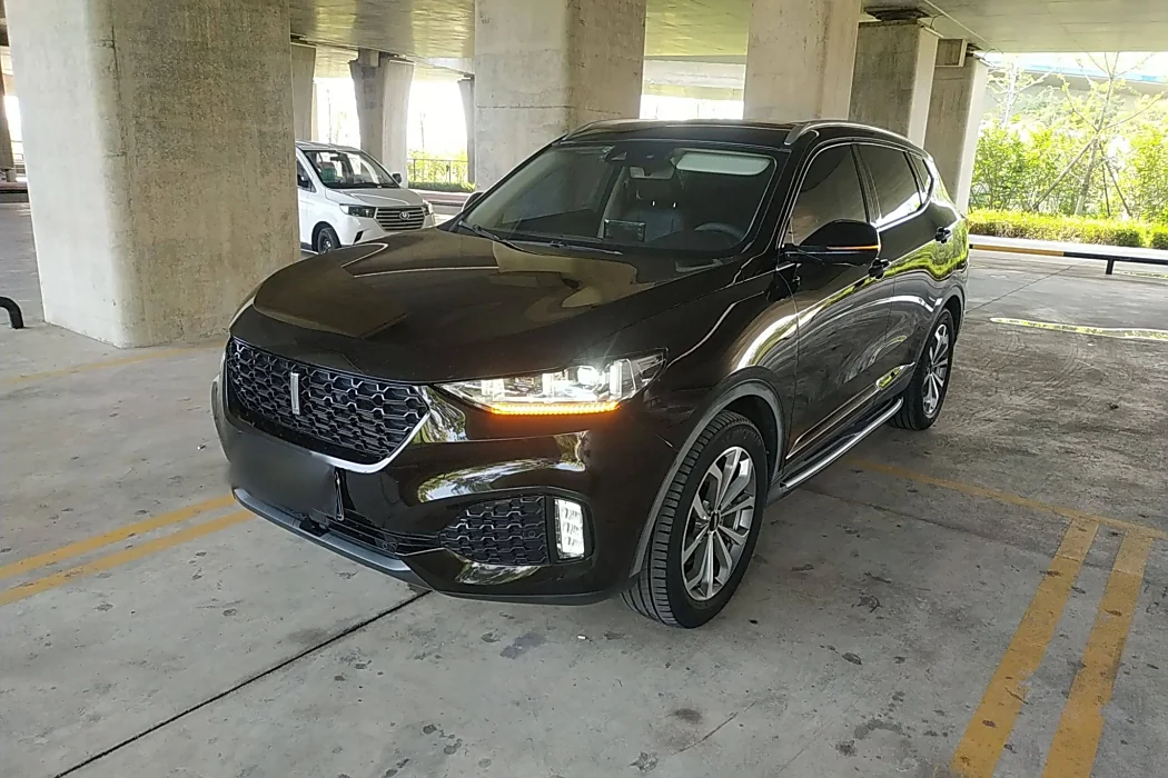 Wei brand VV6 2019 2.0T two-wheel drive flagship country VI