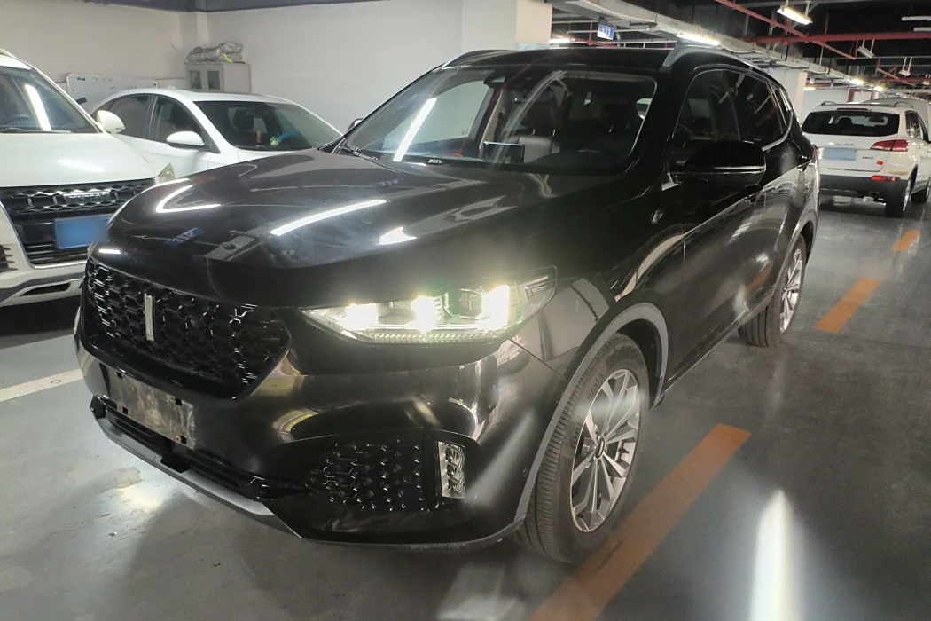 Wei brand VV6 2018 2.0T two-wheel drive flagship national V