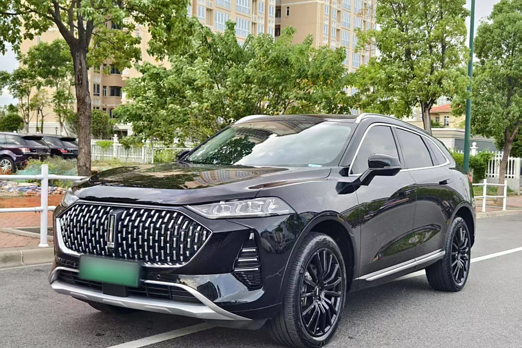 Wei brand Mocha New Energy 2022 Model 1.5T 0G Performance Version