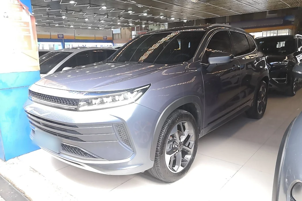 Xingtu Chasing the Wind 2021 Versailles Edition 1.6T DCT Xingyao Edition