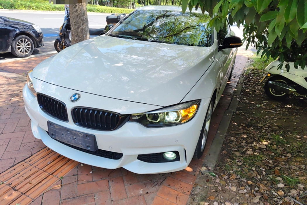 BMW 4 Series 2019 425i M Sport Obsidian Night Edition