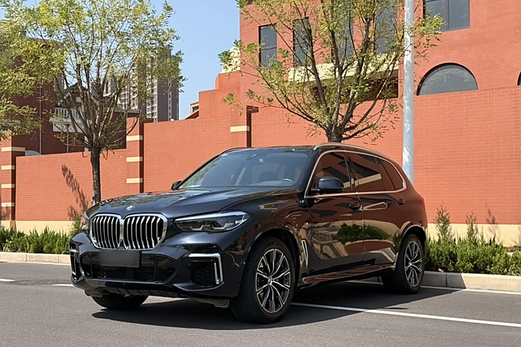 BMW X5 2022 Modified xDrive 30Li M Sport Package
