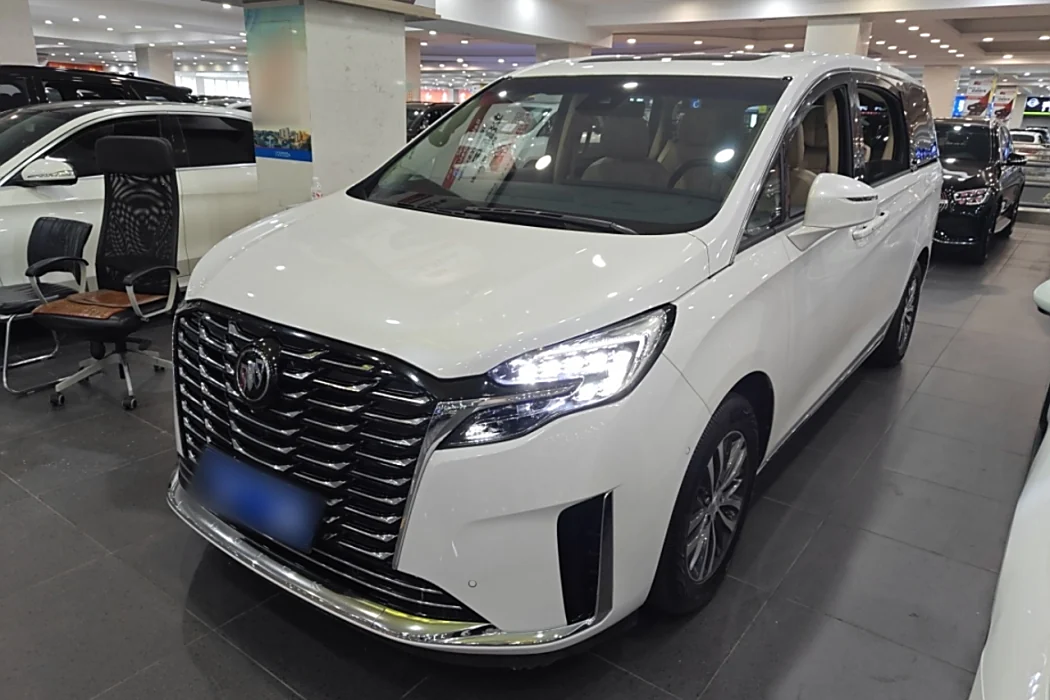 Buick GL8 2023 ES Lu Zun Exclusive Type