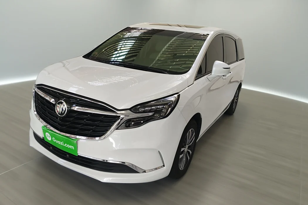 Buick GL8 2020 ES Luzun 653T Comfort