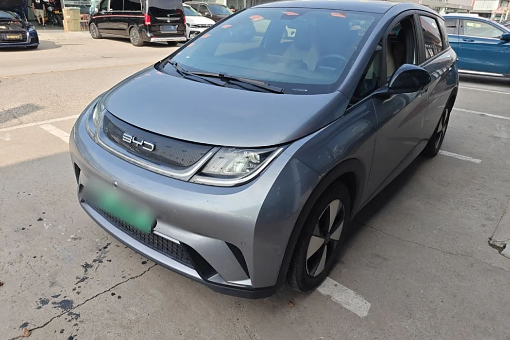 BYD Dolphin 2023 420km Fashion Version
