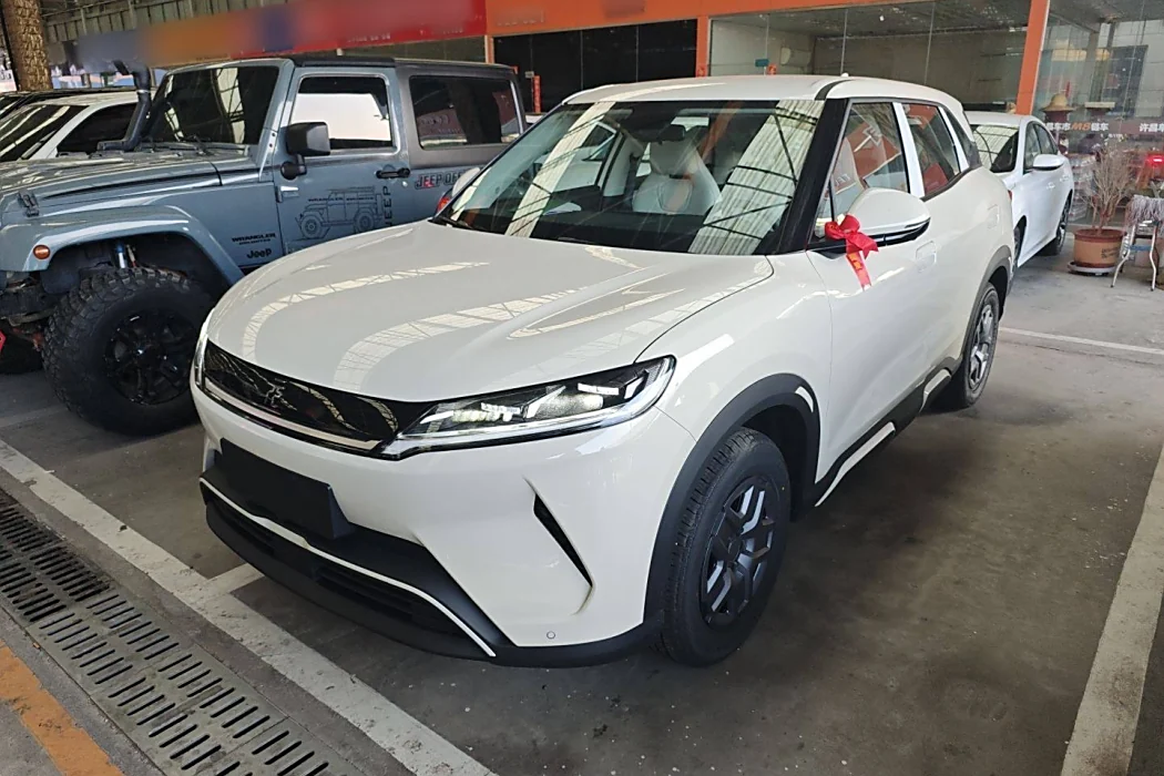 BYD Yuan UP 2025 model 301KM pilot type