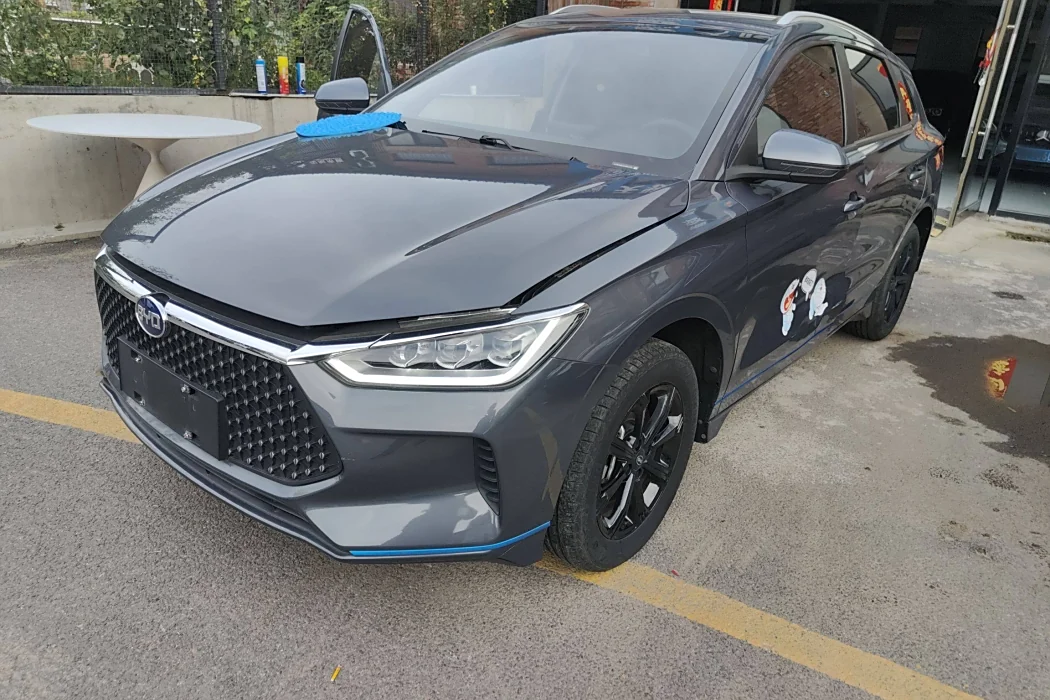 BYD e2 2019 High Range Edition Yew-Luxury