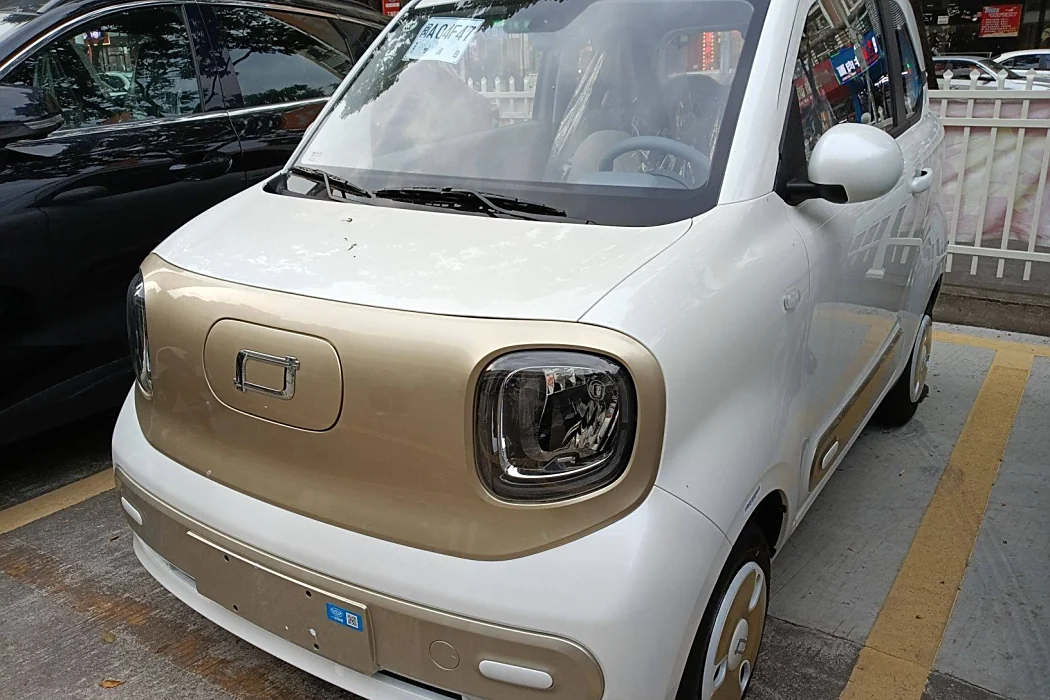 Pentium Pony 2025 222km Lightning Horse
