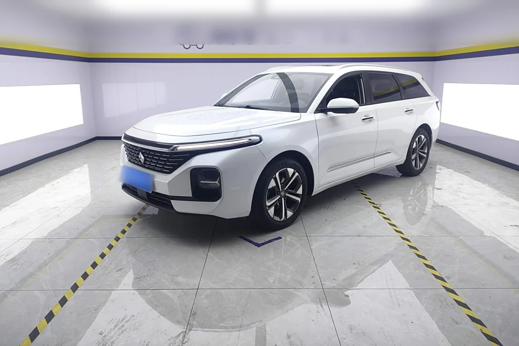 Baojun Valli 2021 1.5T Naqu Fanxing CVT flagship model