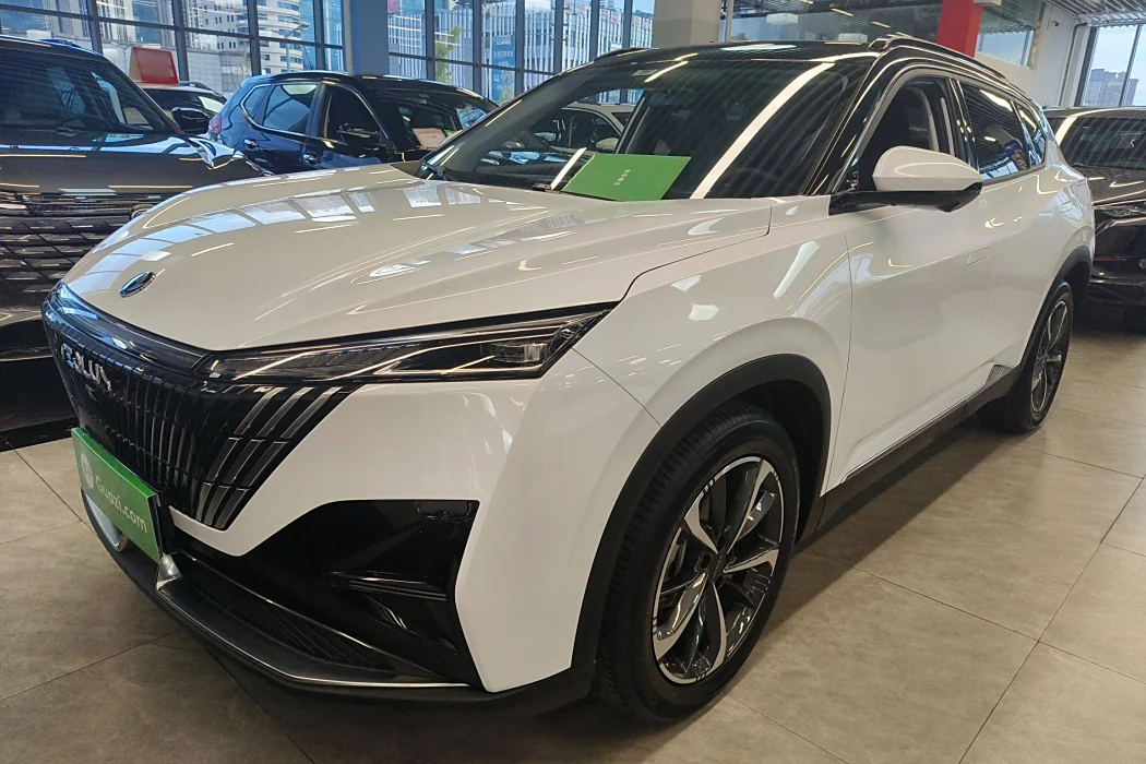 Dongfeng Fengshen Haohan 2023 1.5T Deluxe Edition