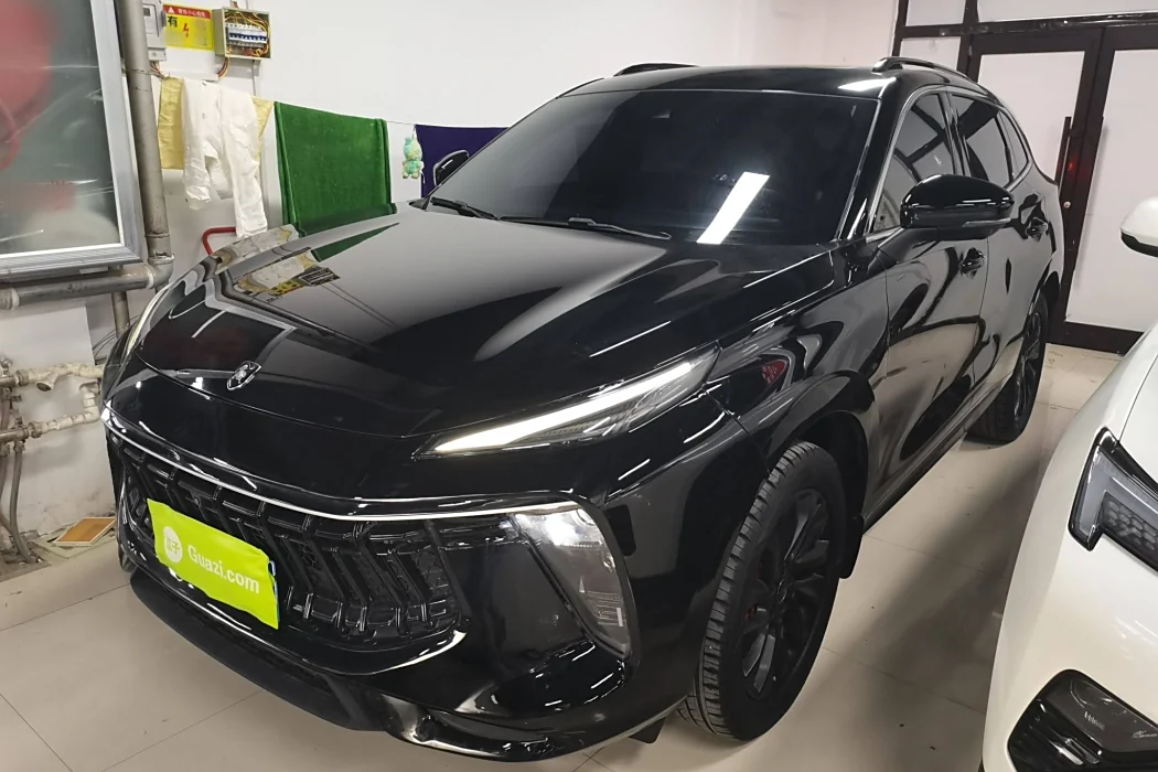 Dongfeng Fengxing Fengxing T5 EVO 2021 1.5 TD DCT Xingyao Edition