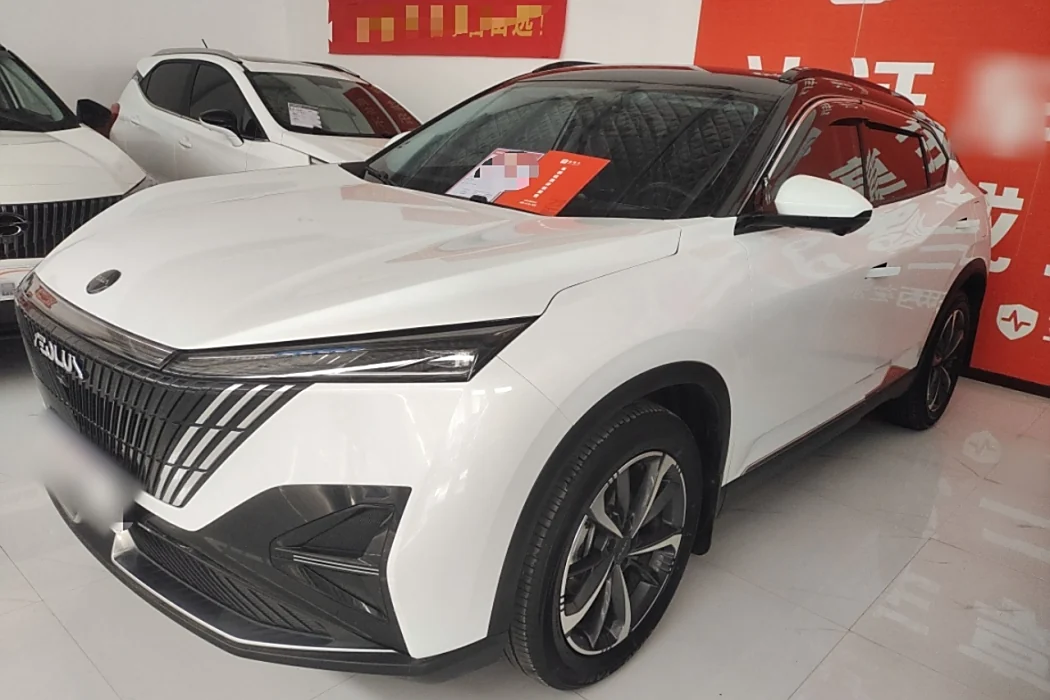Dongfeng Fengshen Haohan 2023 1.5T Deluxe Edition