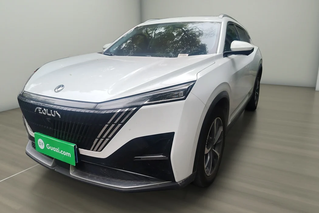 Dongfeng Fengshen Haohan 2023 1.5T Deluxe Edition